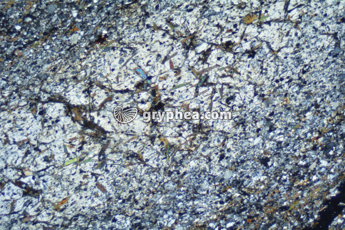 Micaschiste à andalousite LPA x6,3 - gryphea.org